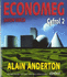 Economeg Safon Uwch-Yr Ail Gyfrol (Welsh Edition)