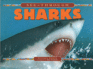 Sharks (See-Through)