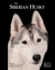 The Siberian Husky (Best of Breed)