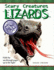 Scarey Creatures Lizards