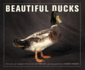 Beautiful Ducks: Portraits of Champion Breeds