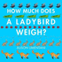 How Much Does a Ladybird Weigh?
