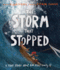 The Storm That Stopped Storybook: a True Story About Who Jesus Really is (Illustrated Christian Bible Story of Jesus Calming the Storm in Mark 4...Wonderful Gift. ) (Tales That Tell the Truth)