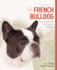 French Bulldog Best of Breed: Your Essential Guide From Puppy to Senior Dog