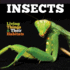 Insects