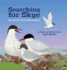 Searching for Skye: An Arctic Tern Adventure
