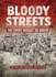 Bloody Streets: the Soviet Assault on Berlin, With Map Book