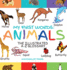 My First Words the Illustrated Az Glossary of the Animal Kingdom for Preschoolers