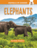 Elephants Format: Library Bound