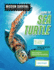 Saving the Sea Turtle Format: Paperback