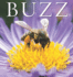 Buzz: a Book of Happiness for Bee Lovers (Animal Happiness, 10)