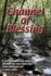 Channel of Blessing a Spiritual Journey Into Identifying and Understanding Your Spiritual Gift