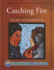 Catching Fire: a Teaching Guide (Discovering Literature Series: Challengi)