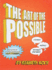 The Art of the Possible! : Comics Mainly Without Pictures