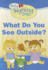 What Do You See Outside?