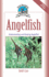 Angelfish: Understanding and Keeping Angelfish (Fish Keeping Made Easy)