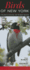 Birds of New York: A Guide to Common and Notable Species