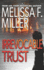 Irrevocable Trust (Sasha McCandless Legal Thriller)
