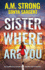Sister Where Are You (Patterson Blake Fbi Mystery Thriller Series)