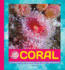 Coral Format: Library