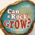 Can a Rock Grow