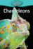 Chameleons (37) (Elementary Explorers)