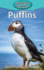 Puffins (Elementary Explorers)
