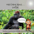 Matt Learns About...Gorillas