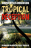 Tropical Deception: a Pancho McMartin Legal Thriller