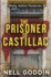 The Prisoner of Castillac Molly Sutton Mysteries 3