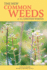 The New Common Weeds of the United States