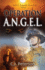 Operation A.N.G.E.L.: Holy Flame Series, Book 2