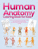 Human Anatomy Coloring Book for Kids Over 30 Human Body Coloring Pages, Fun and Educational Way to Learn About Human Anatomy for Kids for Boys Girls Ages 48