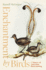 Enchantment By Birds: a History of Australian Birdwatching in 22 Species
