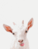 Cute Animal Composition Book Smiley Goat: 8.5 X 11'', 200 Wide Ruled Pages, Notebook for School Softcover Canvas Design: Large Notebook Journal for...and College (Peekaboo Animal Notebook)