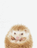 Cute Animal Composition Book Hedgehog: 8.5 X 11'', 200 Wide Ruled Pages, Notebook for School Softcover Canvas Design: Large Notebook Journal for...and College (Peekaboo Animal Notebook)