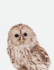Cute Animal Composition Book: 8.5 X 11'', 200 Wide Ruled Pages, Notebook for School Softcover Canvas Design Owl: Large Notebook Journal for Teacher, Students, and College (Peekaboo Animal Notebook)