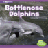 Bottlenose Dolphins: a 4d Book