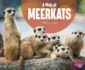 A Mob of Meerkats