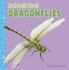 Fast Facts About Dragonflies (Fast Facts About Bugs & Spiders)