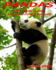 Pandas: Learn About Pandas Amazing Pictures & Fun Facts: Volume 5 (Amazing Nature Childrens Books)