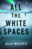 All the White Spaces: a Novel