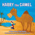 Harry the Camel