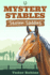 Stolen Saddles: A fun-filled mystery featuring best friends and horses