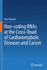 Non-coding RNAs at the Cross-Road of Cardiometabolic Diseases and Cancer