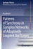 Patterns of Synchrony in Complex Networks of Adaptively Coupled Oscillators