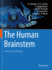 The Human Brainstem Anatomy and Pathology (Hb 2023)