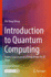 Introduction to Quantum Computing: From a Layperson to a Programmer in 30 Steps