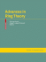 Advances in Ring Theory (Trends in Mathematics)