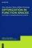 Optimization in Function Spaces: With Stability Considerations in Orlicz Spaces (13) (Hb)